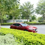 IMG_1249.jpeg