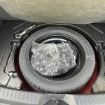 IMG_1260.jpeg