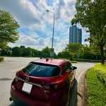 IMG_1243.jpeg