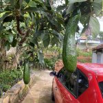 IMG_6923.jpeg