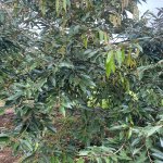 IMG_1507.jpeg
