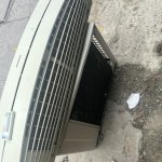 IMG_9387.jpeg
