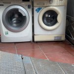 IMG_9356.jpeg