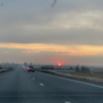 IMG_4763.jpeg