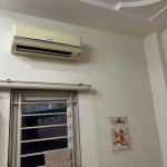 IMG_3891.jpeg