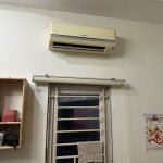 IMG_3890.jpeg