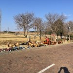IMG_4783.jpeg