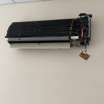 IMG_9168.jpeg