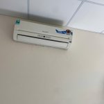 IMG_9167.jpeg