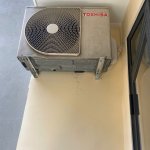 IMG_9165.jpeg