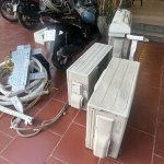 IMG_9135.jpeg