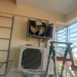 IMG_9009.jpeg
