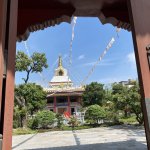 IMG_0902.jpeg