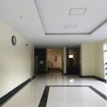 IMG_6329.jpeg
