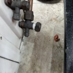 IMG_9466.jpeg
