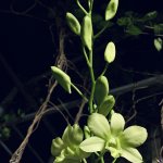 D1AAB600-0E27-498B-BA81-4F3A30542B8F.jpeg