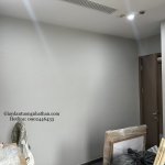 D3DFEE59-C8B5-4D2E-9473-88CF2C653610.jpeg