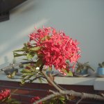 P1010008.JPG