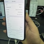 IMG_3436.jpeg