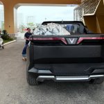 vf-wild-520250821074527.jpg