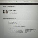 IMG_3445.jpeg