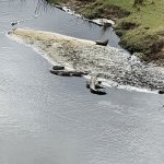 IMG_4817.jpeg