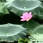 IMG_2288.jpeg