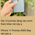 IMG_6404.png