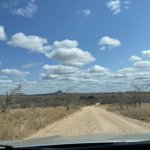 IMG_4833.jpeg