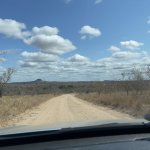 IMG_4832.jpeg