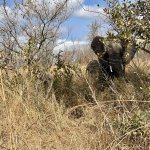 IMG_4838.jpeg