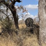 IMG_4839.jpeg