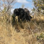 IMG_4837.jpeg
