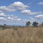 IMG_4844.jpeg