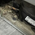 IMG_9532.jpeg