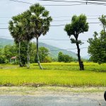 IMG_1030.jpeg