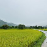 IMG_1051.jpeg