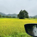 IMG_1071.jpeg
