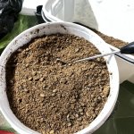 IMG_0056.jpeg