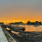 IMG_0058.jpeg