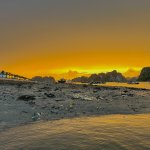 IMG_0061.jpeg