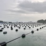 IMG_0077.jpeg