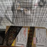 88E57DBC-5422-4857-BB2D-AD0E04739A9D.jpeg