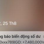 22818.jpg