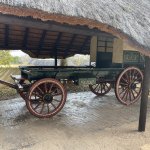 IMG_4851.jpeg