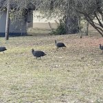 IMG_4866.jpeg