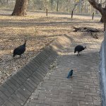 IMG_4879.jpeg