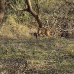 IMG_4895.jpeg