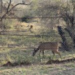 IMG_4892.jpeg
