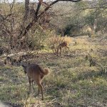 IMG_4893.jpeg
